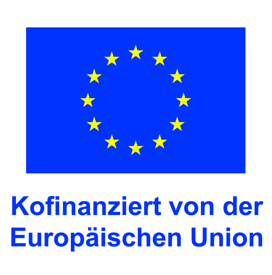Logo: Kofinanziert von der Europäischen Union