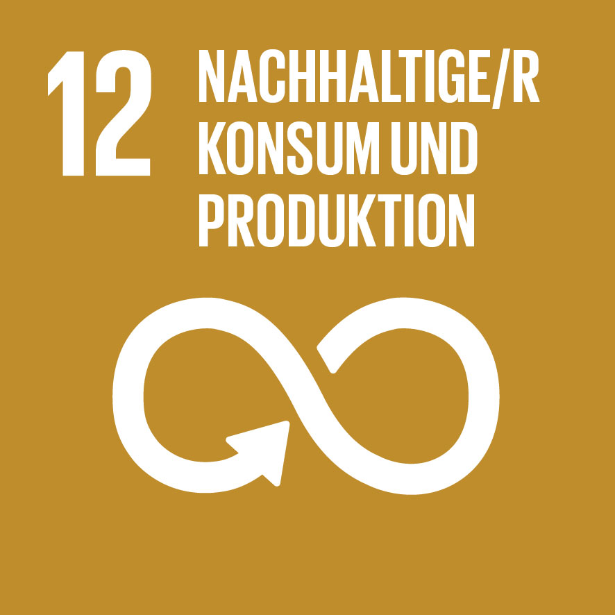 SDG 12 nachhaltige/r Konsum und Produktion