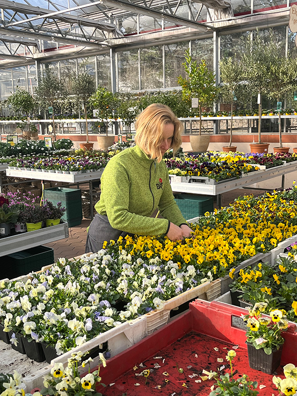 Rita Nischelwitzer bei Blumen Bair in Imst – Ausbildung zur Facharbeiterin Gartenbau 02